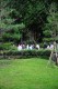 Thumbs/tn_photo981111 (175).jpg